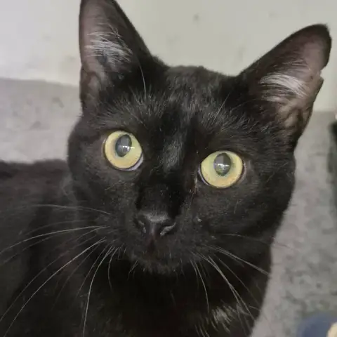 Minnie