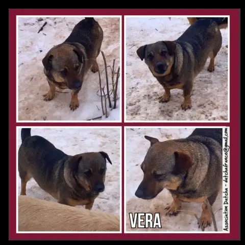 Vera