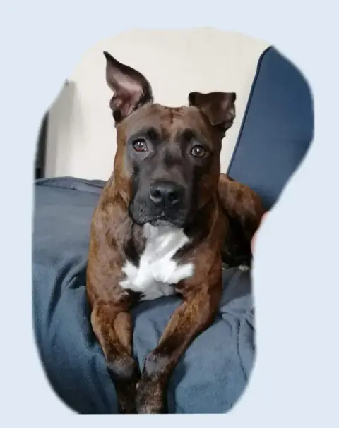 Leika