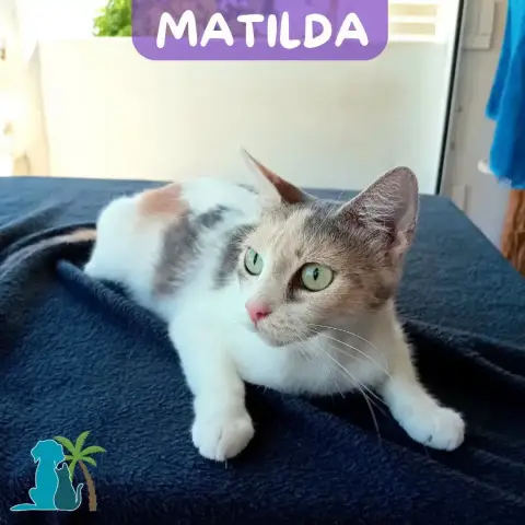 Matilda