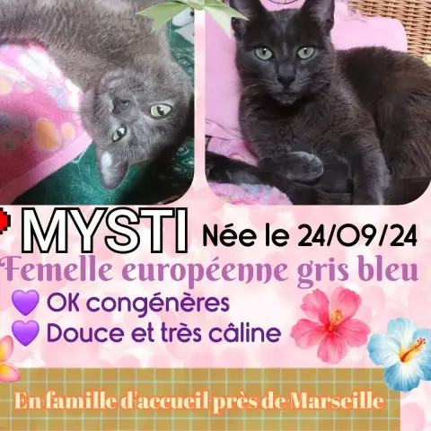 Mysti