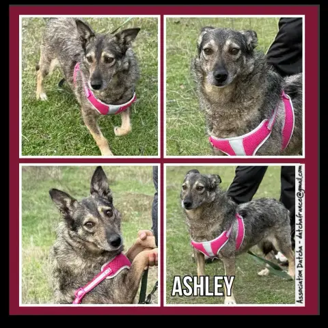 Ashley
