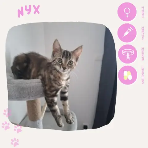 Nyx