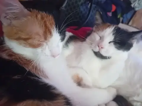 Jenny Et Hermione