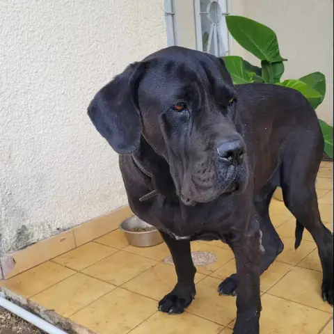 Patsi photo 2