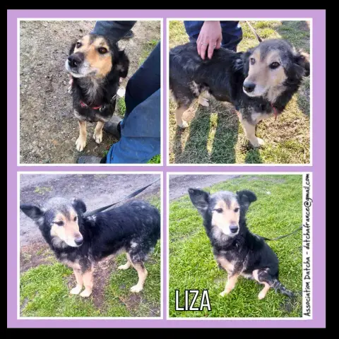 Liza
