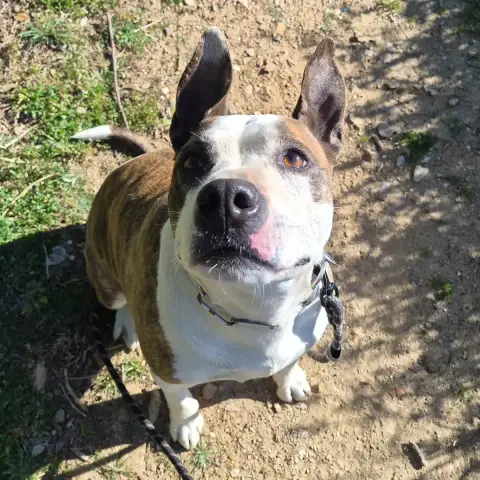 Maya photo 2