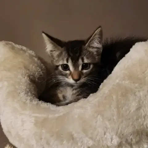 Luna