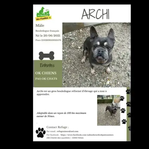 Archi