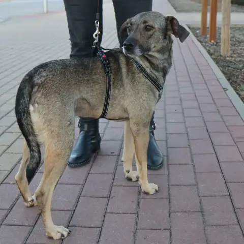 Leona photo 2