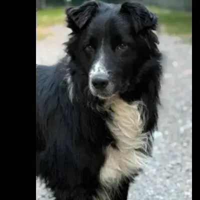 Titus photo 2