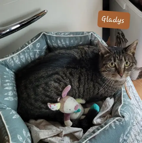 Gladys