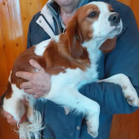 Tina
