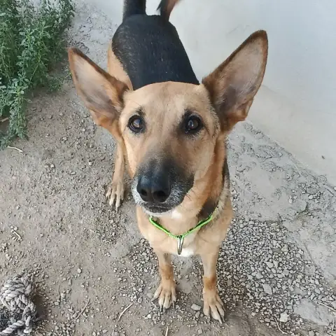 Kira