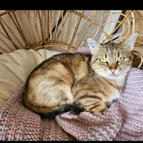 Edith