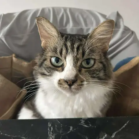 Félicia photo 2