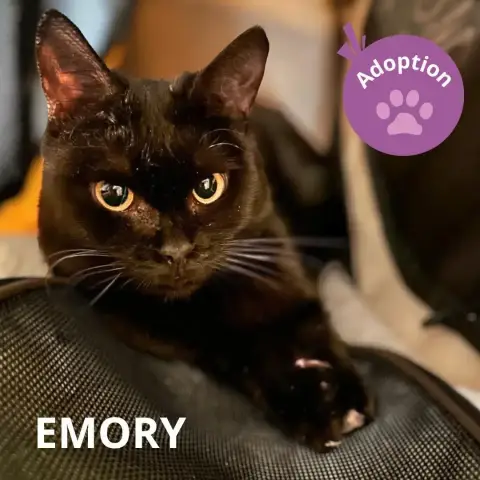 Emory