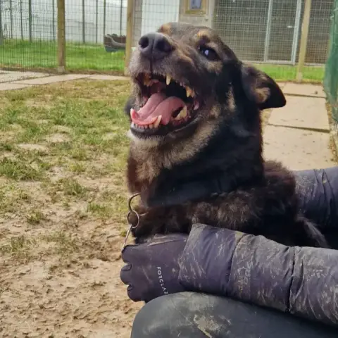 Bonnie photo 2