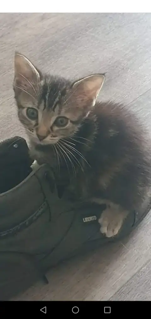 Yoda