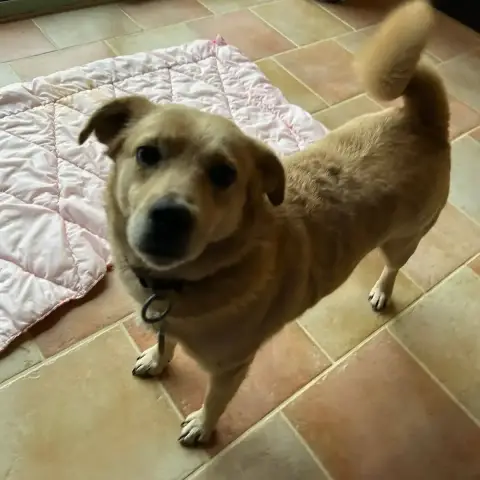 Obii photo 3