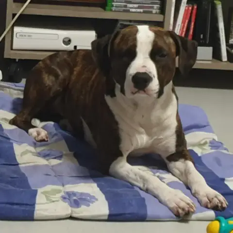 Xena