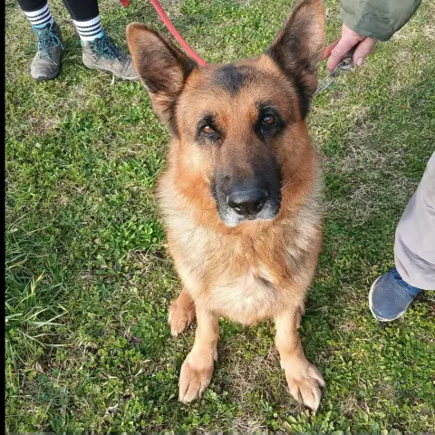 Nash