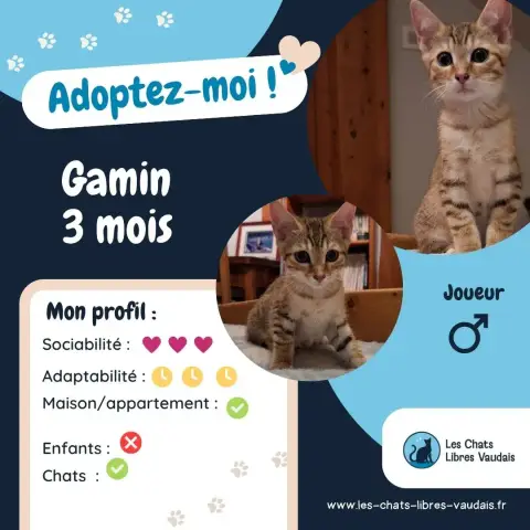 Gamin photo 3