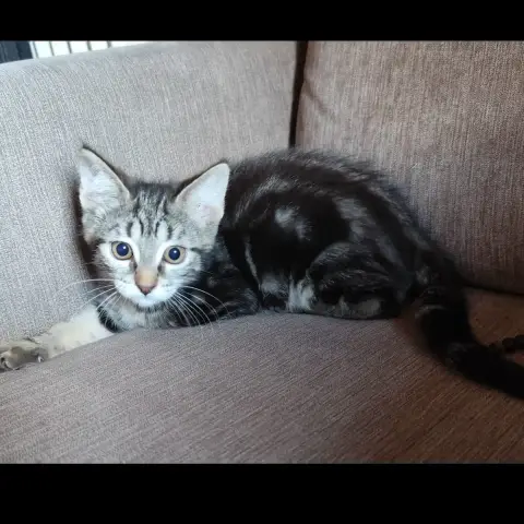 Maya photo 2