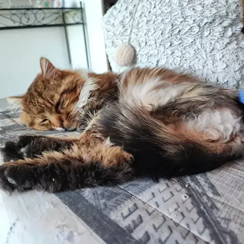 César photo 2