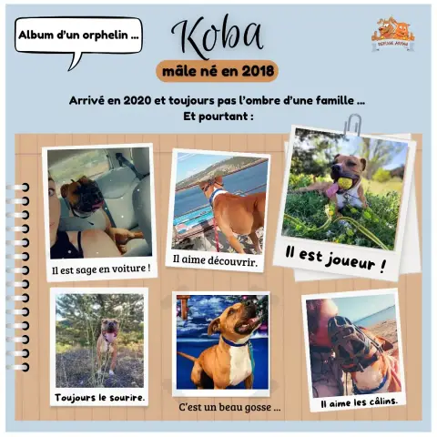 Koba