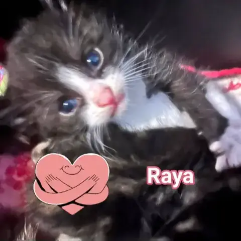 Raya