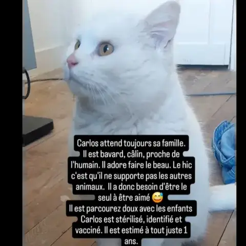 Carlos