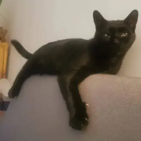 Rocket photo 3