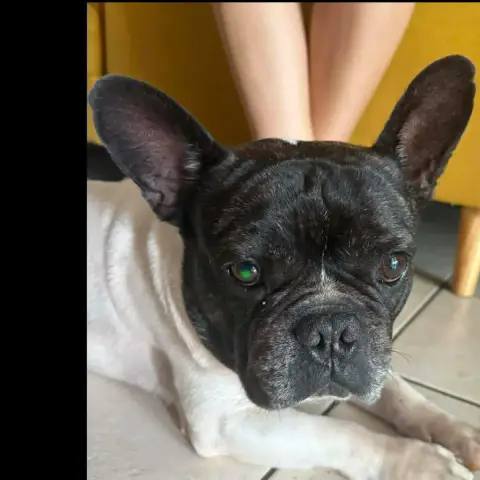 Diego photo 3