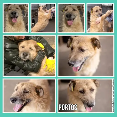Portos