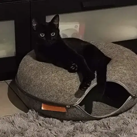 Luna photo 2