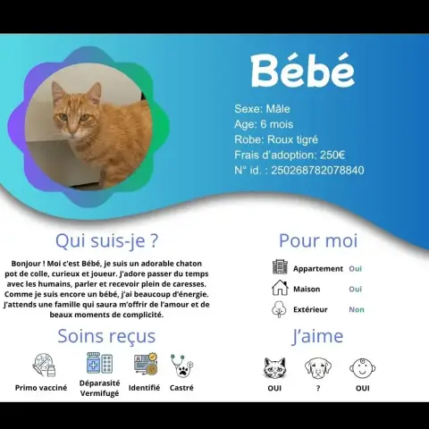 Bébé photo 3