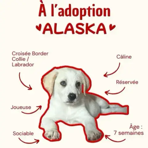 Alaska