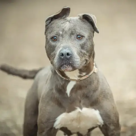 Fiona photo 2