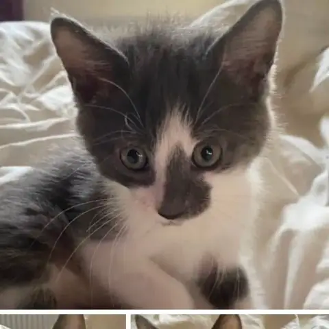 Bonnie