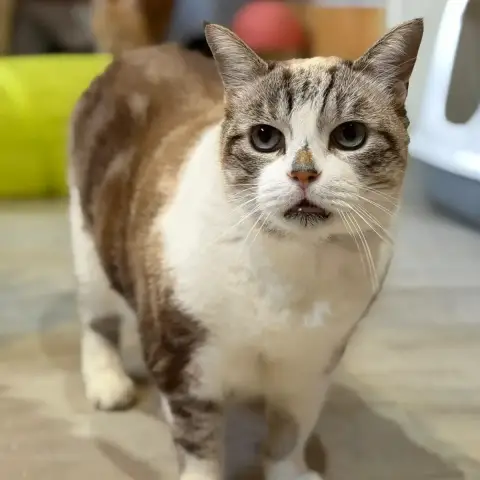 Mimi photo 3