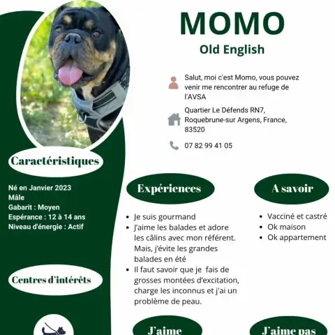 Momo photo 2