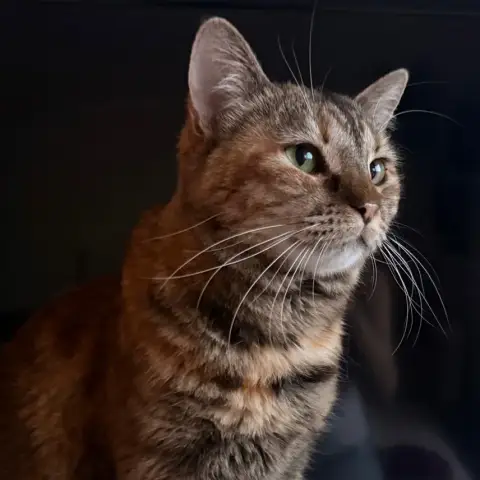 Titi photo 2