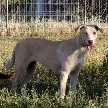 Wilma photo 2