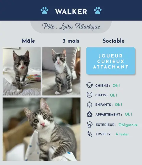 Walker