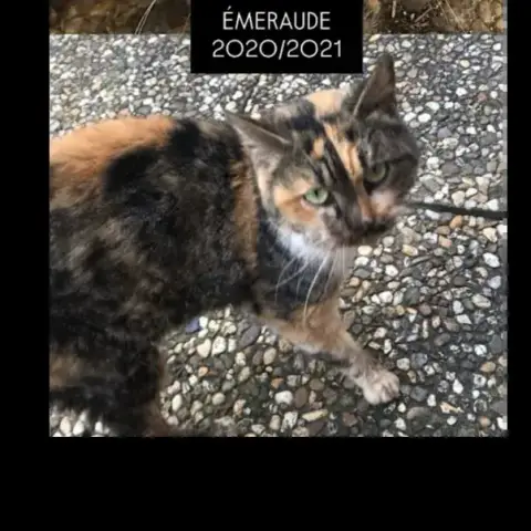 Emeraude