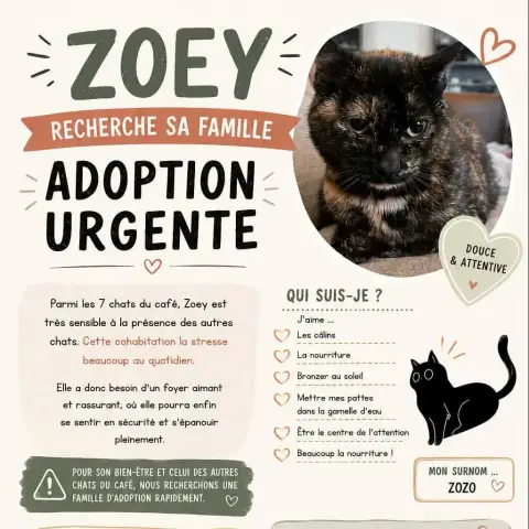 Zoey En Famille D'Accueil