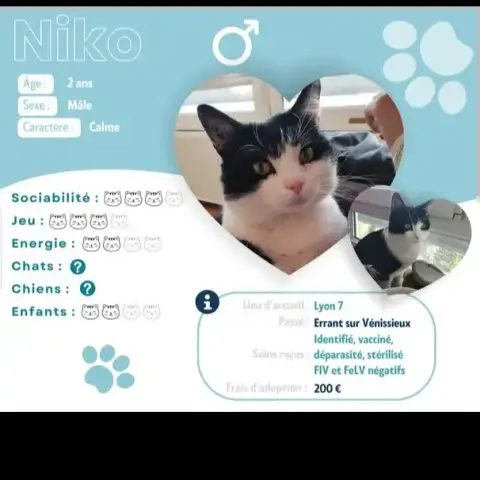 Niko