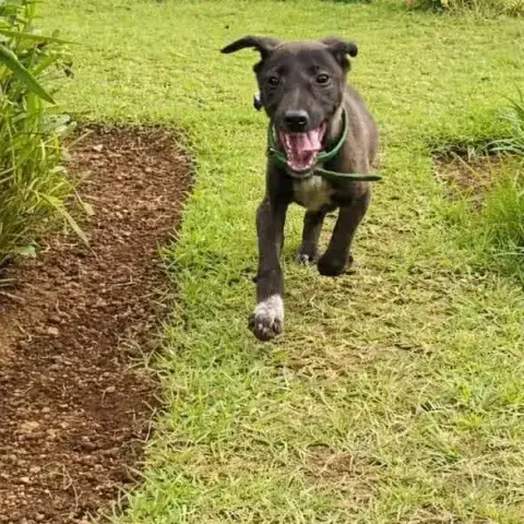 Titus photo 2