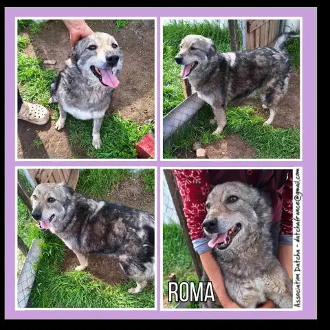 Roma